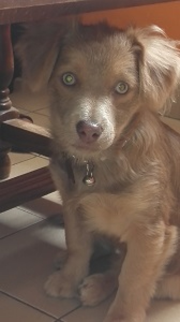 L'ACCUEIL DE LUCKY